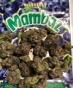 Blueberry mambaz strain for sale