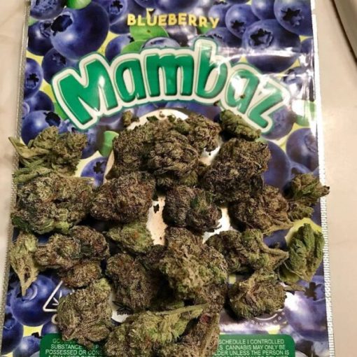 Blueberry mambaz strain for sale