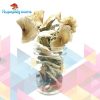 Buy  African Transkei Mushrooms Online in Canada