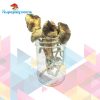 Buy Golden Emperor Mushrooms