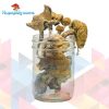 Buy Golden Penis Envy Magic Mushrooms