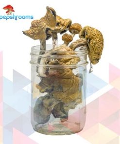 Buy Golden Penis Envy Magic Mushrooms