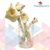 Buy Orissa Magic Mushrooms