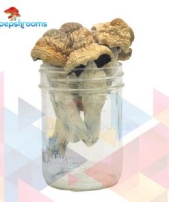 Buy Premium Tri-Colour Penis Envy Magic Mushrooms Online in Canada | Buy Tri-Colour Penis Envy Magic Mushrooms