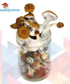 Buy Texas Penis Envy Magic Mushrooms Online