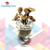 Buy Z-Strain Magic Mushrooms for sale